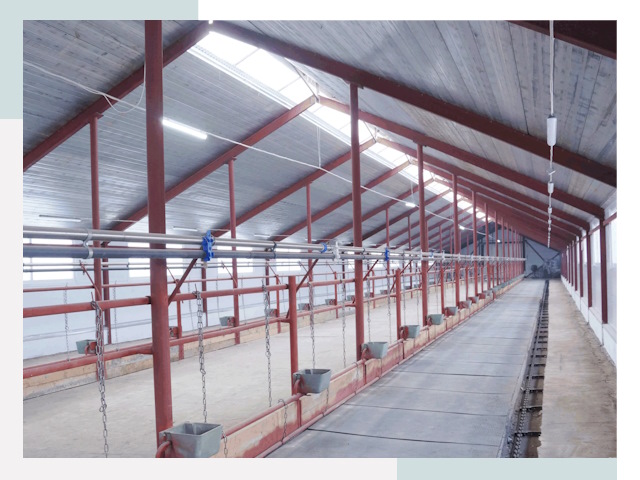 Строительство коровников в Коркино от 623 руб.