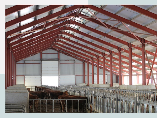 Строительство коровников в Коркино