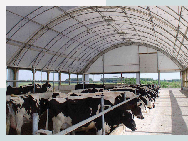Тентовые коровники в Коркино